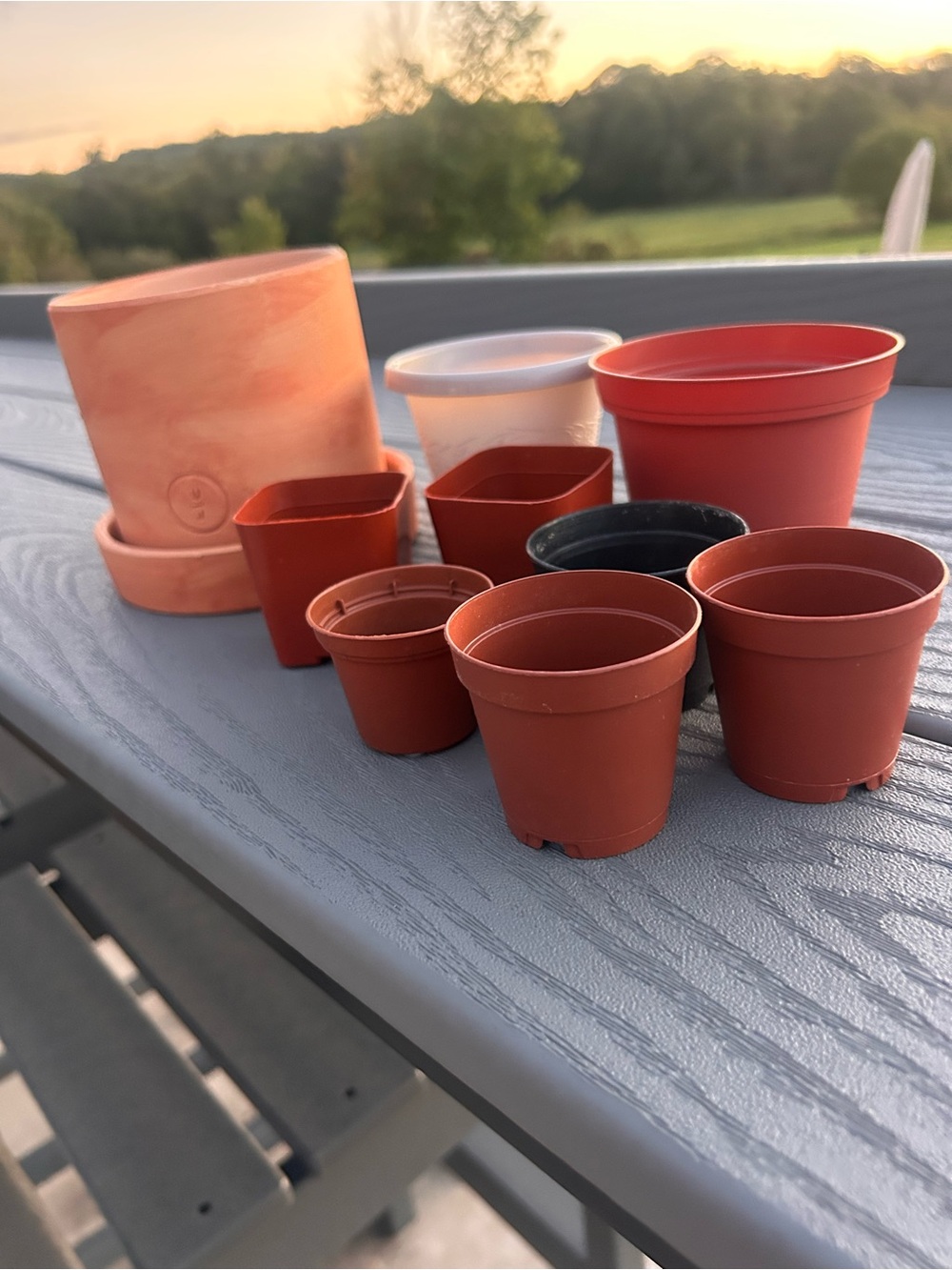 Bundle of planter pots Terra Cotta & plastic for plant babies